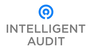Intelligent Audit